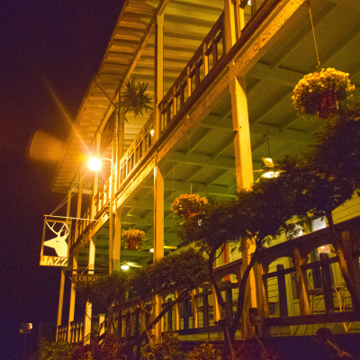 Dan Wilkins Quartet  at Deer Head Inn