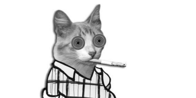 Apophenia at PANDA Platforma - event poster Apophenia at PANDA Platforma