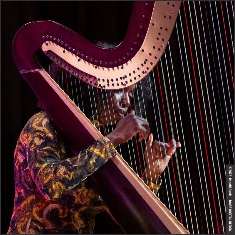 Click to view larger version