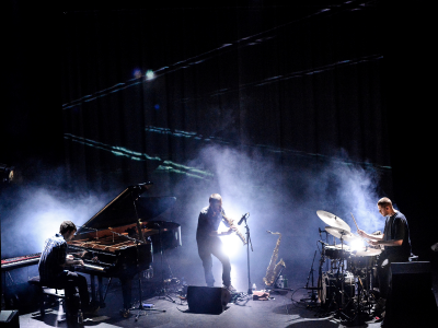 Mammal Hands at Turner Sims - event poster Mammal Hands at Turner Sims