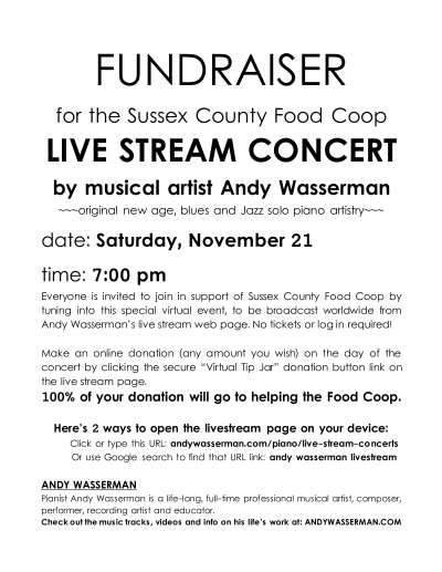 Andy Wasserman Presents A Fundraiser Concert For The Sussex County Food Coop, Newton, New Jersey
