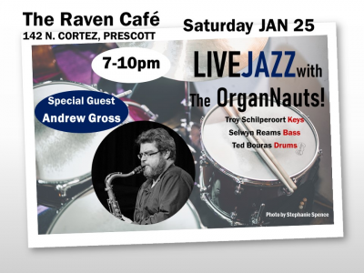 Andrew Gross With The Organnauts at The Raven Cafe