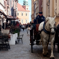 Read "Chopin In Warsaw" written by Martin McFie