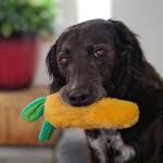 Click to view larger version