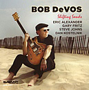 Bob DeVos: Shifting Sands