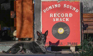Interview with A Musical Odyssey - Wandering The Streets of New Orleans