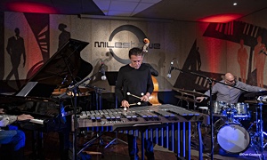 Interview with Di Castri Quartet Vibessence at Milestone in Piacenza