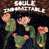 Read "Soule Indomitable at Nectar's" reviewed by Doug Collette