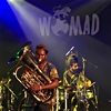 Read "WOMAD 2016" reviewed by Martin Longley