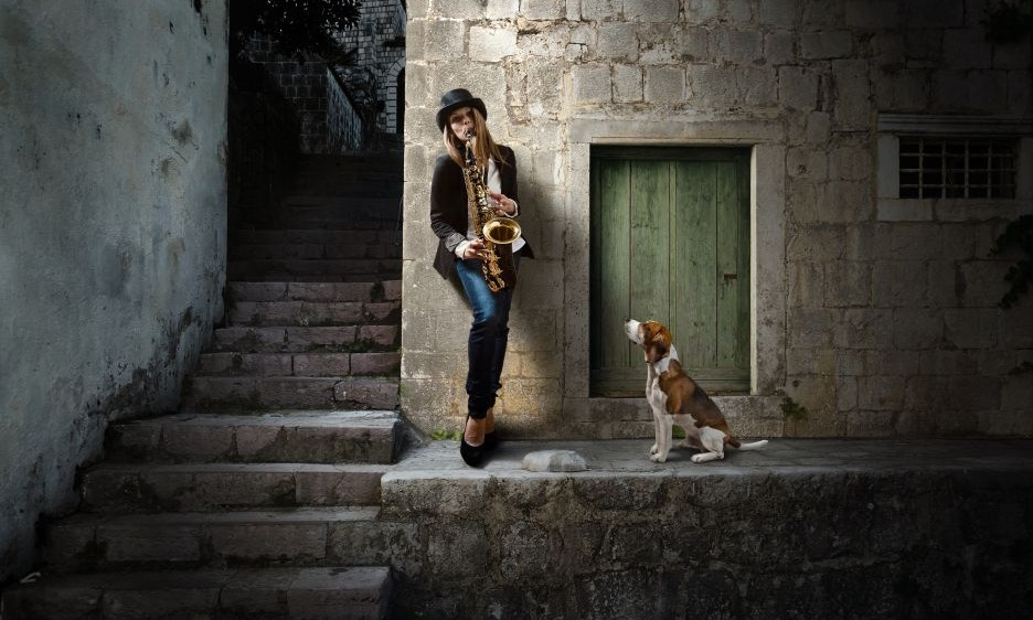 Jazz Dogs: Ten Essential Dog-Eared Tunes