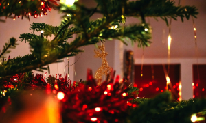 C. Michael Bailey's Holiday Bundle 2025