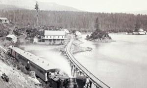 Brian Eaton Returns With A Sprawling Wooden-Hewed Epic &lsquo;Parable Of The Trees&rsquo;