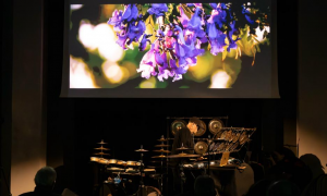 Jazz article: Andrea Centazzo: Animae Mundi a Budrio
