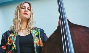 Jazz article: Introducing Bassist Adi Meyerson