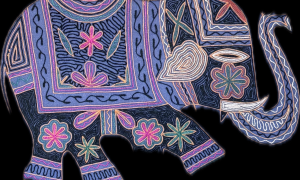 P&M Records Announces 'Elephant Crush'—To Be Released December 15, 2025