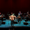 Read "Wayne Horwitz Electric Circus, una conduction a Fabbrica Europa" reviewed by Neri Pollastri