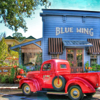Blue Wing Saloon