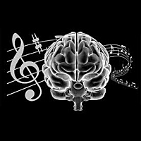 Brain Benefits: How Learning Music is Instrumental in Children's Brain Development