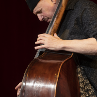 All About Jazz user harvies