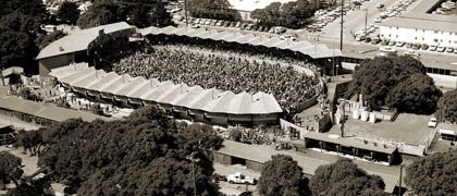 51st Annual Monterey Jazz Festival