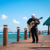 All About Jazz user Carmelo Nicosia