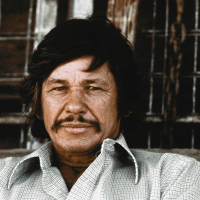 All About Jazz user Vince Majestyk