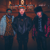 Too Many Zooz