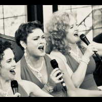 Sugartime Trio photo