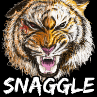 Nick Maclean's SNAGGLE feat. ALI BROS photo