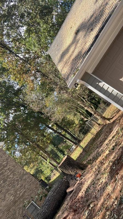 Step-by-Step Guide for Precision Cutting