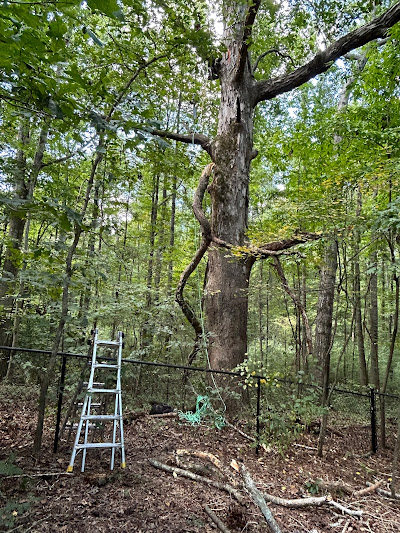 Importance of proper maintenance and inspection of equipment