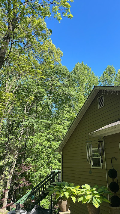 Tips for Maintaining Sharp Blades