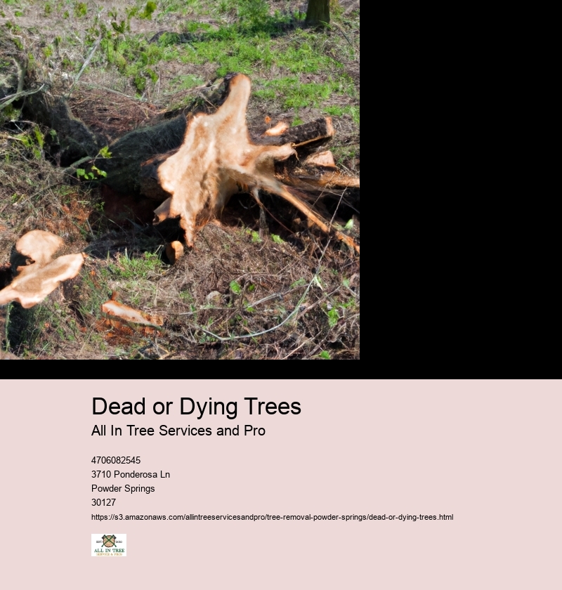 Dead or Dying Trees