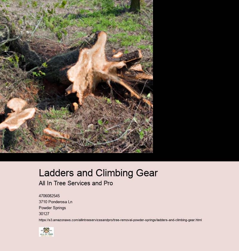 Ladders and Climbing Gear