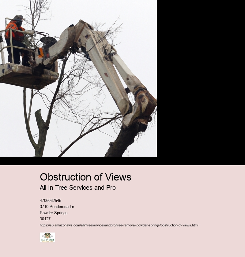 Obstruction of Views