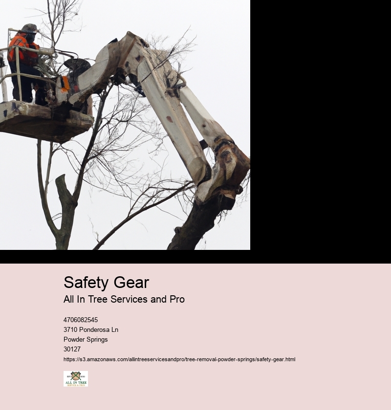 Safety Gear