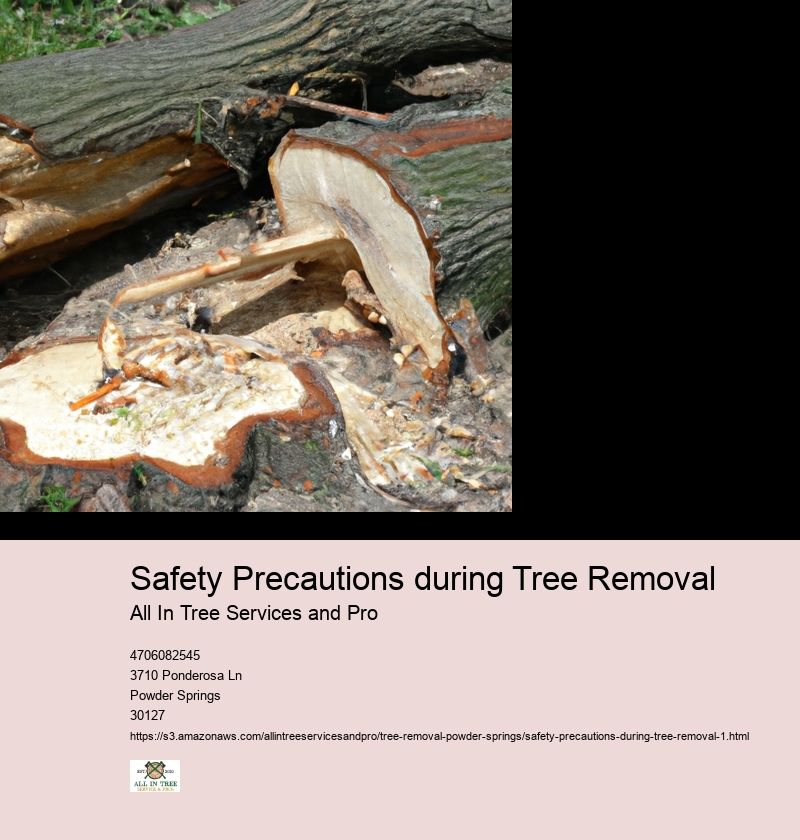 Safety Precautions during Tree Removal
