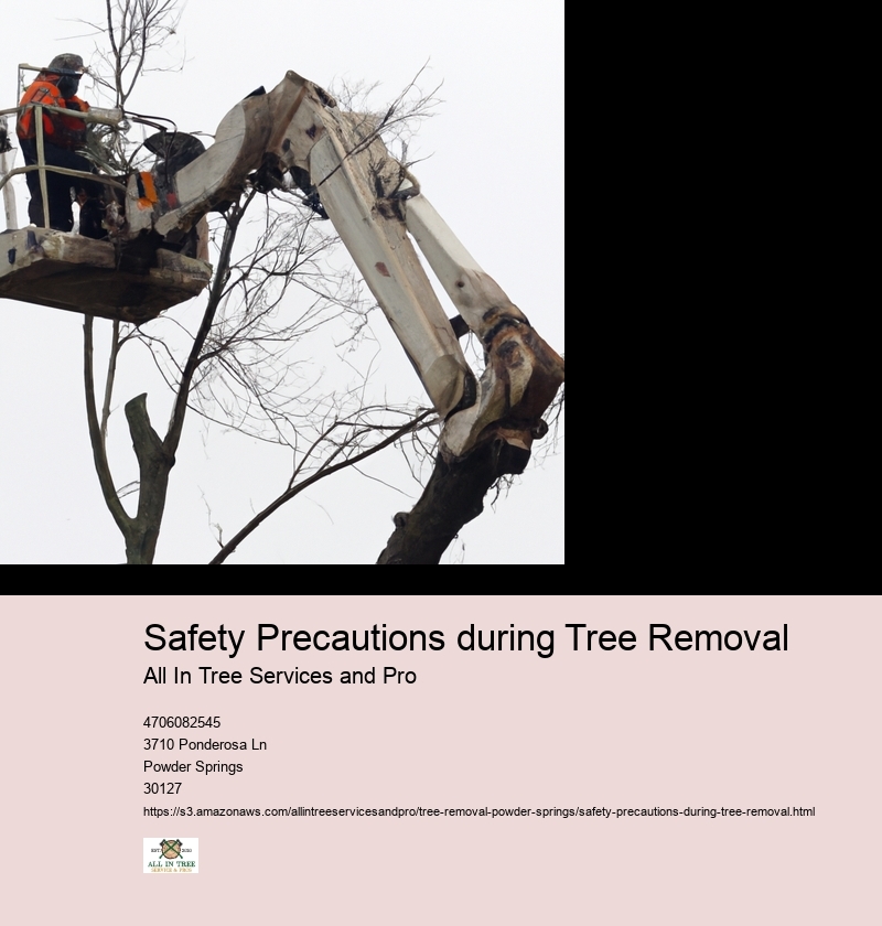 Safety Precautions during Tree Removal