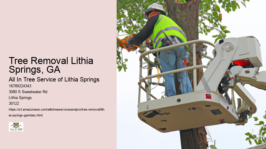 Tree Removal Lithia Springs, GA