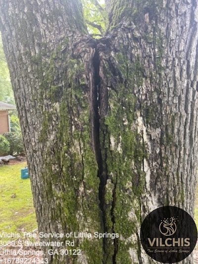 Methods for measuring tree size