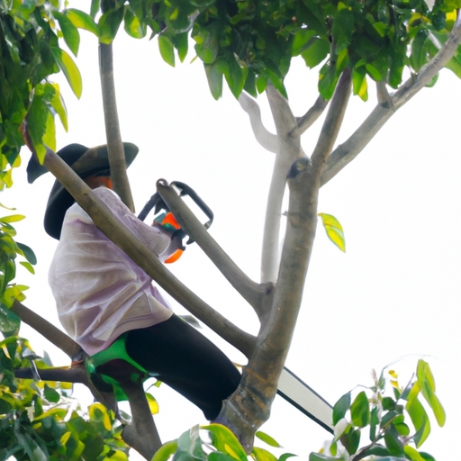 What is the importance of hiring a certified arborist for tree services?