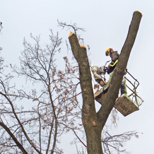 How to Transform Your Yard with Professional Tree Service