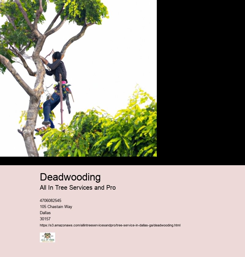 Importance of deadwooding for tree health and safety