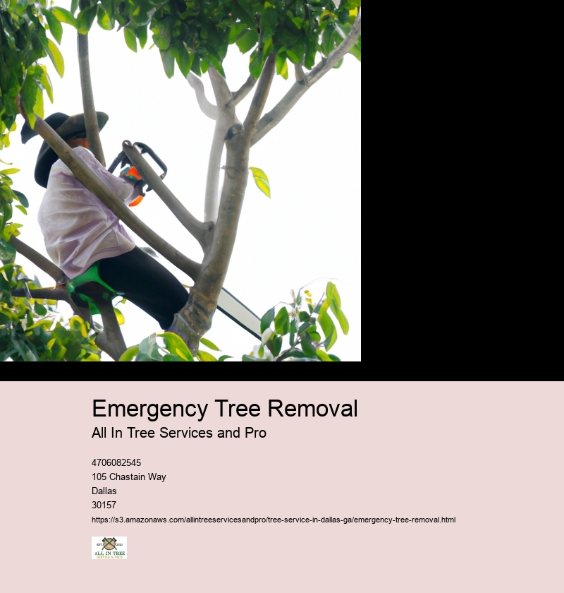 Importance of quick response in emergency situations involving trees