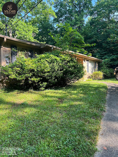 Disposal options for stump debris