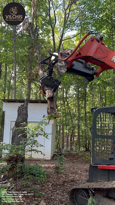 Environmental impact of stump removal