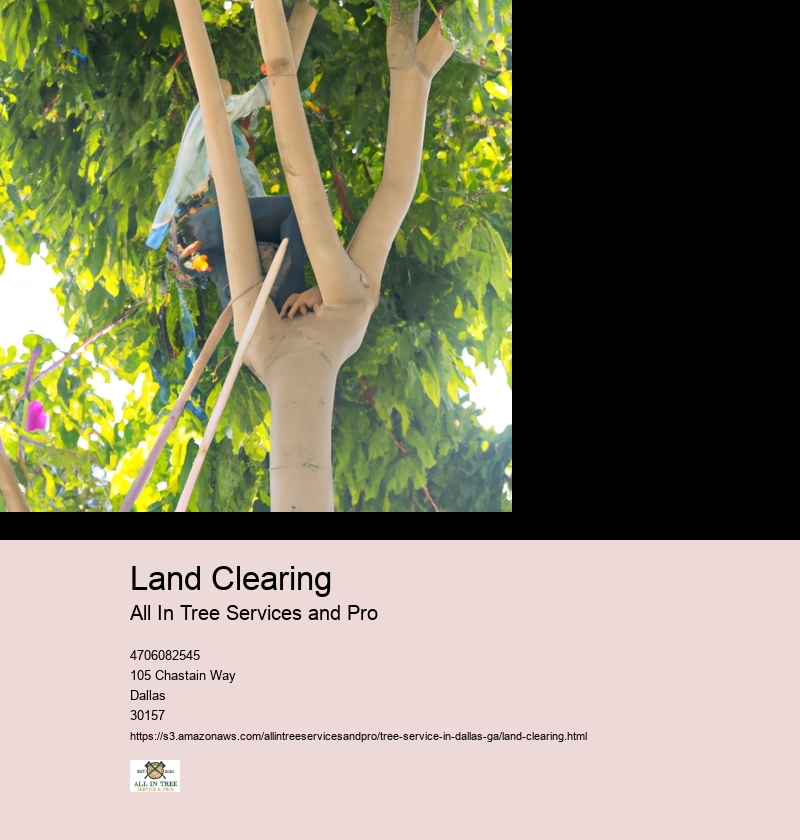 Importance of land clearing for development projects