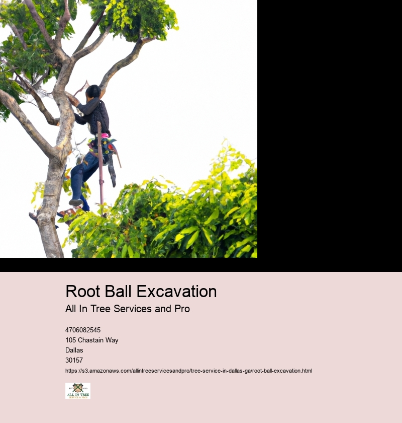 Tools and equipment needed for root ball excavation