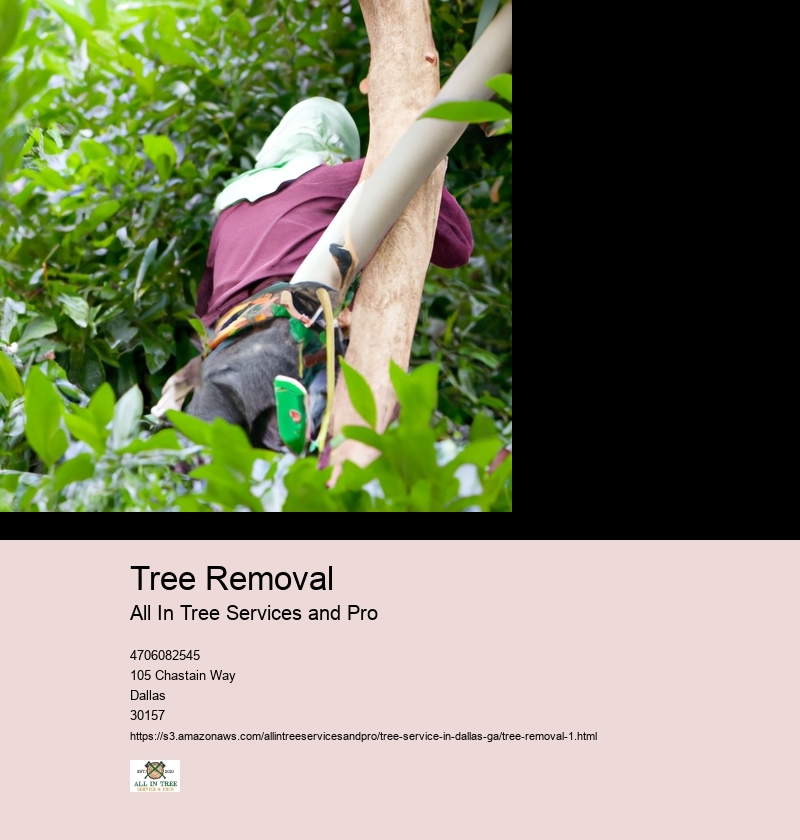 Reasons for tree removal