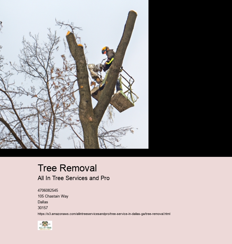 Reasons for tree removal